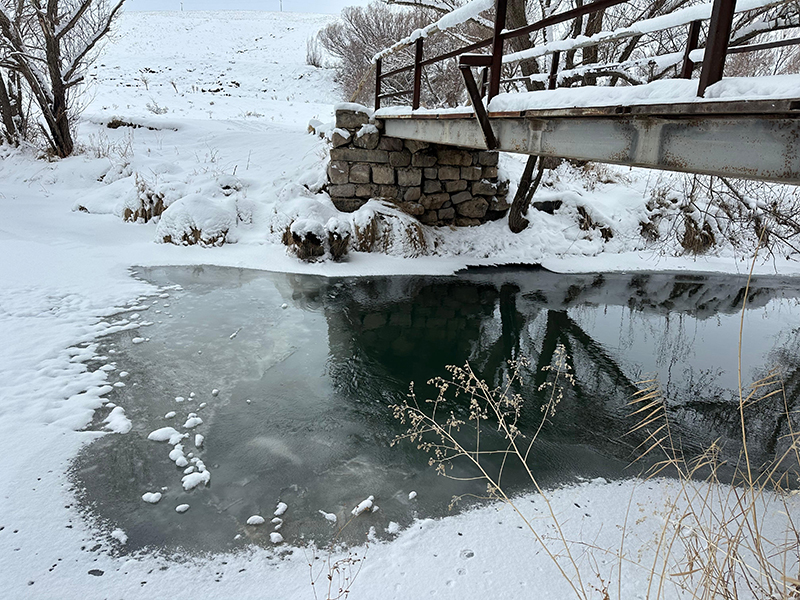 zamanti-bot-safari-10-jpeg