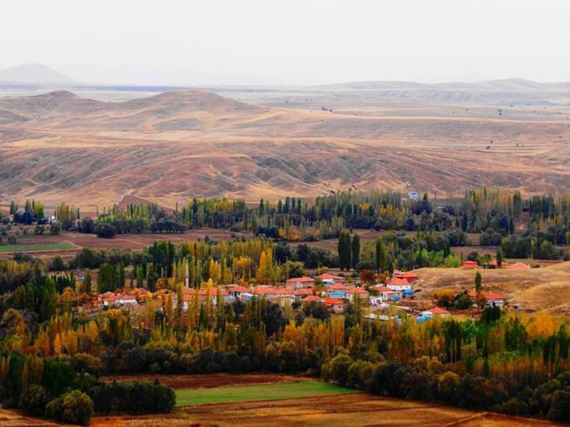 zamanti-bot-safari-11-jpeg