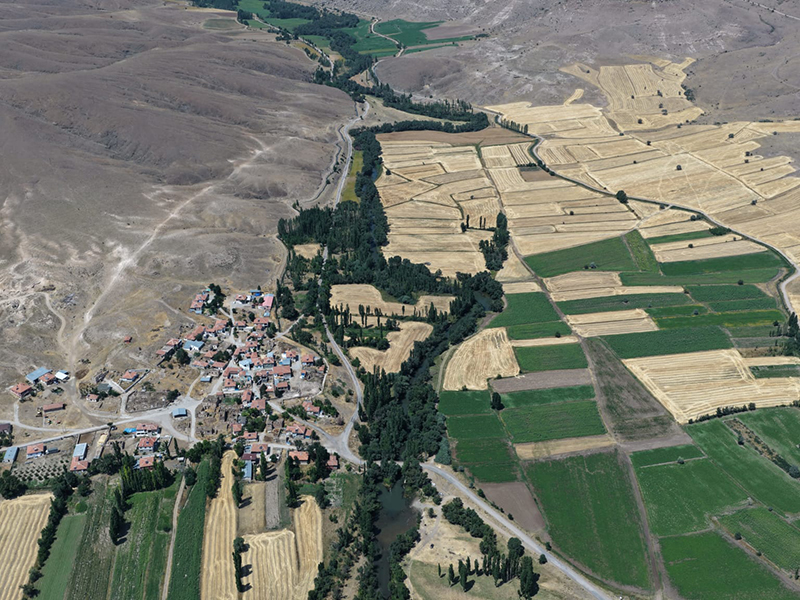 zamanti-bot-safari-3-jpeg