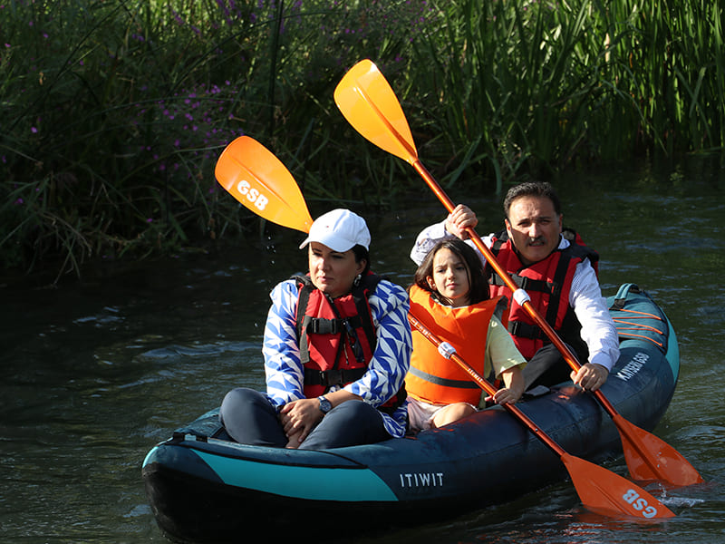 zamanti-bot-safari12-jpeg