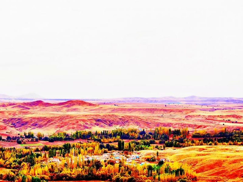 zamanti-bot-safari-9-jpeg