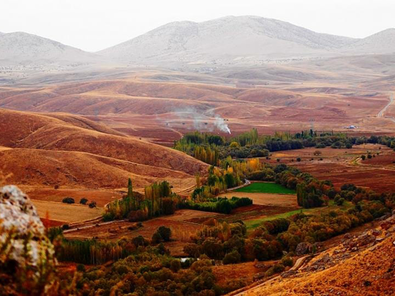 zamanti-bot-safari-12-jpeg