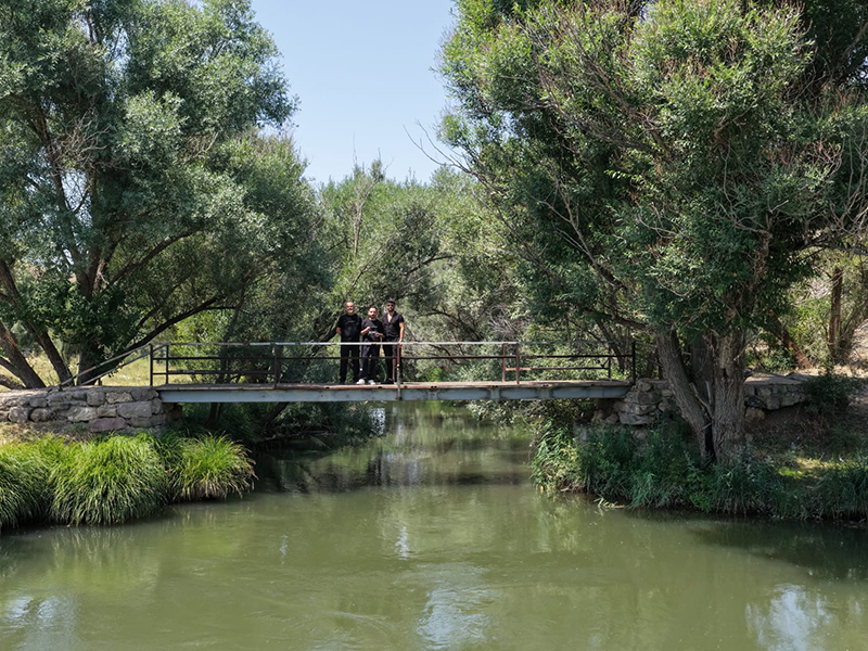 zamanti-bot-safari-2-jpeg